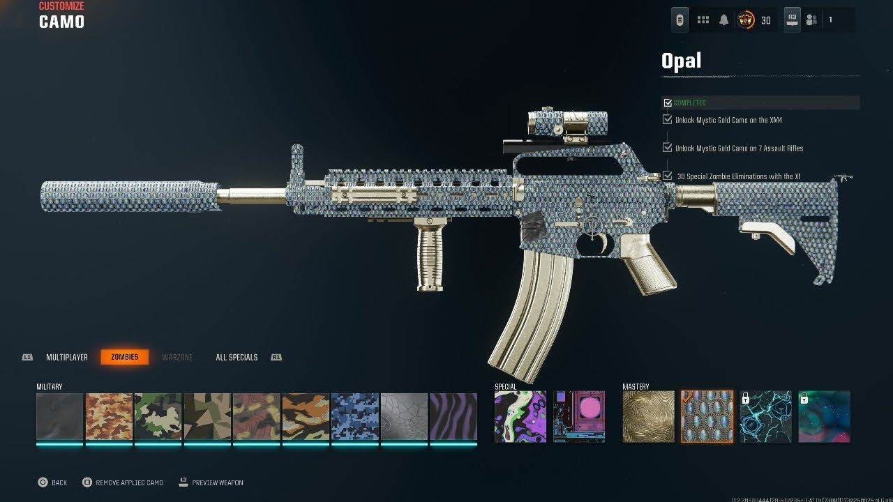 Black Ops 6 Camo Services